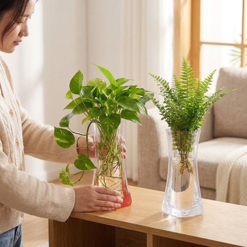 5Pcs Folding Clear PVC Flower Vase Collapsible Plant Containers  Restaurant Centerpiece
