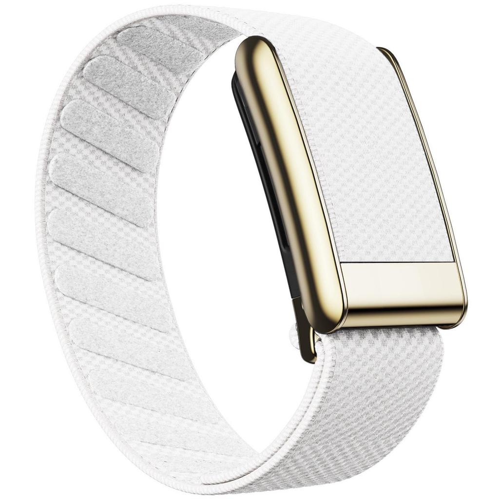 Whoop 5.0 Nylon Elastic Sport Band with Shiny Metal Frame (Gold/Silver)