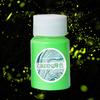 20g Pigment Powder 12 Colors Optional Easy To Apply Decorative Glow In The Dark Luminous Paint Bright Pigment for Gift