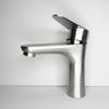 TLXT Stainless Steel Basin Faucet
