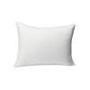 Basic Pillow, Down Alternative, Machine Washable, Large, 2-Pack, 51 X 66 Cm, White