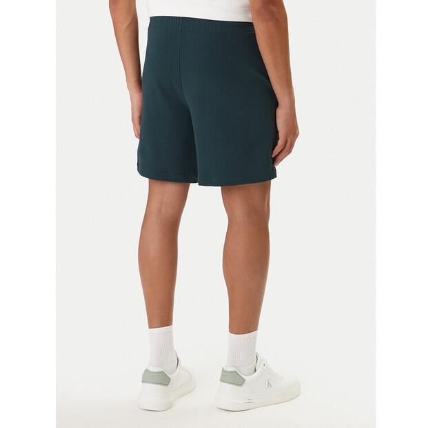 Шорты спортивные Calvin Klein Nano Logo