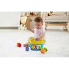 Fisher-Price Детские Первые Кубики Тропический Лес (6 месяцев и старше) Детский развивающий набор кубиков (FFC84)