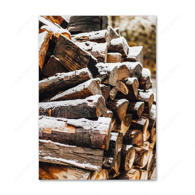 Зимний снежный пейзаж, холст, картина, скандинавские деревянные ворсовые постеры и принты, северный олень, белая береза, настенные художественные фотографии для гостиной