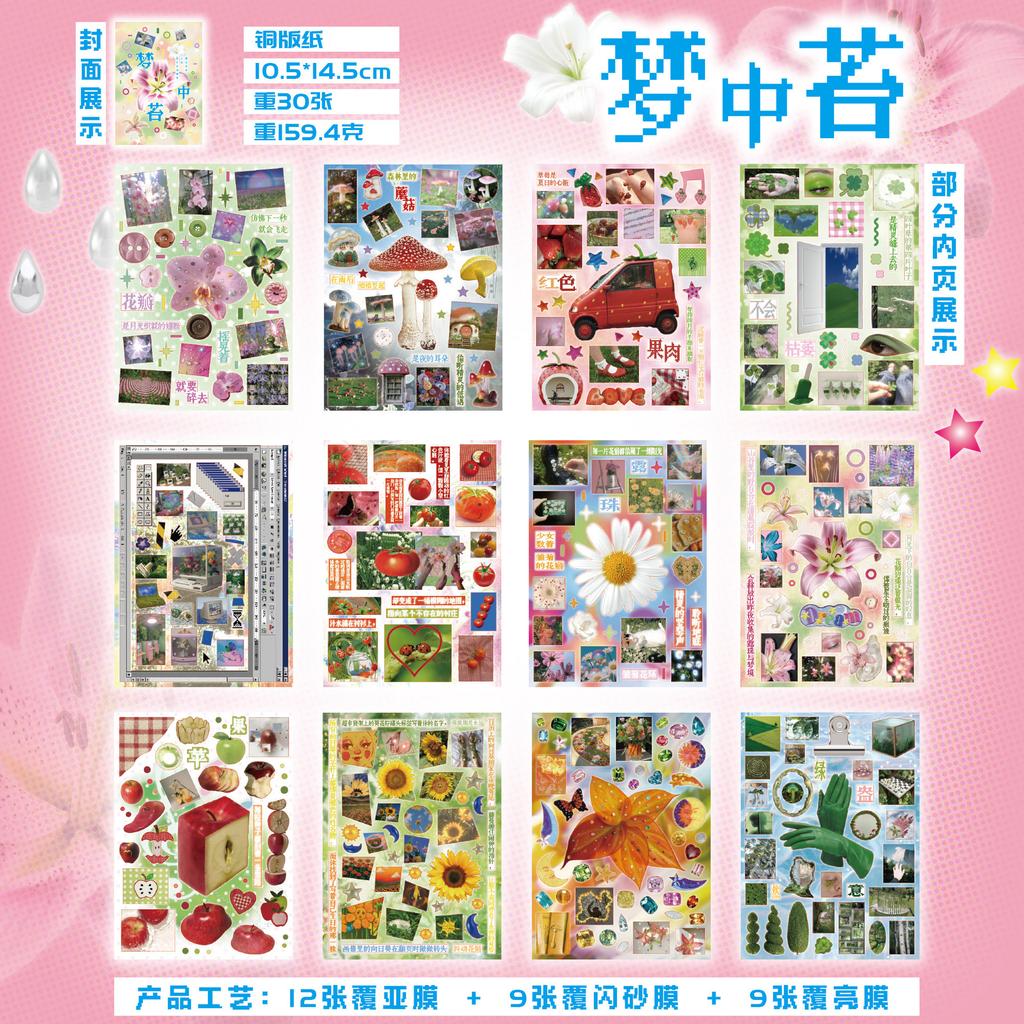 30 Sheets/pack Sticker Book Dream Growth Dream Core Wind Pattern Notebook Mobile Phone Back Card DIY Decoration Guka Collage