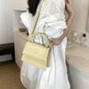 Trendy Small Square Handbag For Women Casual And Chic Crossbody Bag 2024 Spring
