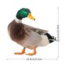 Art Decor Double-Sided Printing Wild Duck Decorations Acrylic Duck Statues Duck Sculpture Realistic