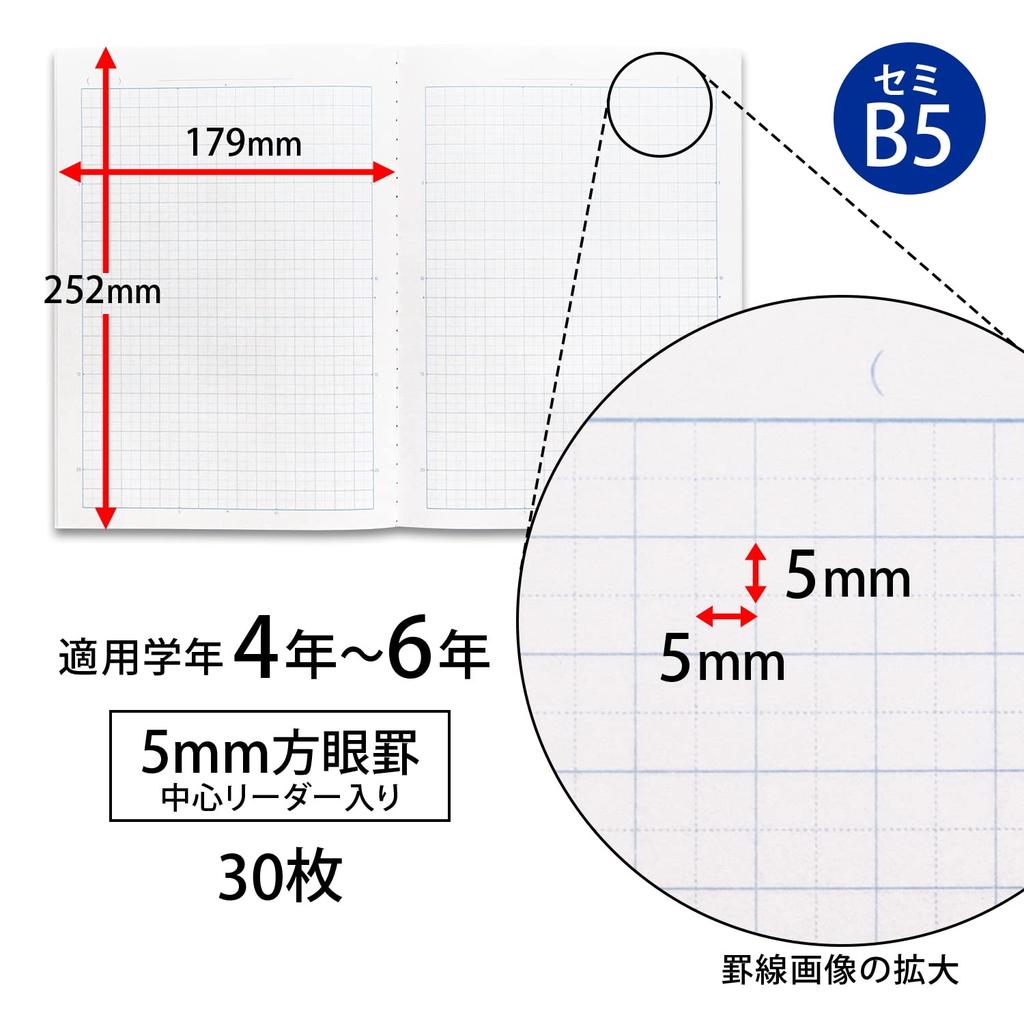 Kyokuto School 5mm Purple 10 Books Notebook, Grid, B5, LMC5GV, Check,