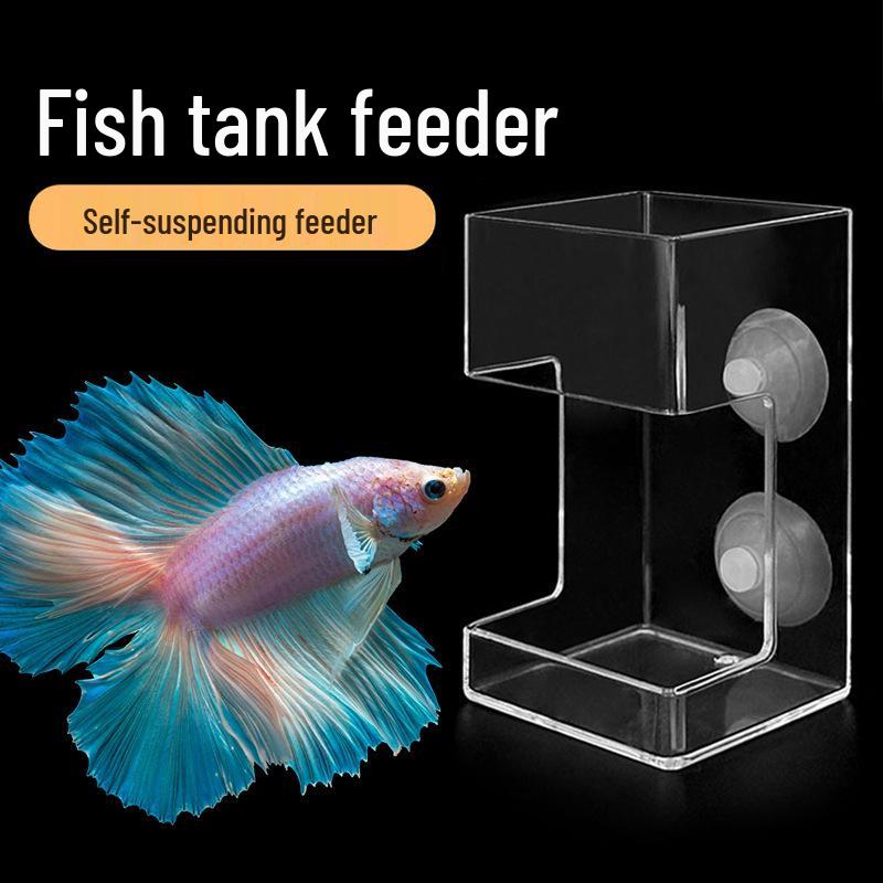 Parrotfish Turtle Floating Feeding Ring for Large Fish Tanks & Koi Aquariums