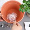 10Pcs Flower Pot Bottom Mesh Vertical Fixed Wing Tapered Grid Flower Pot Bottom Hole Mesh Gasket