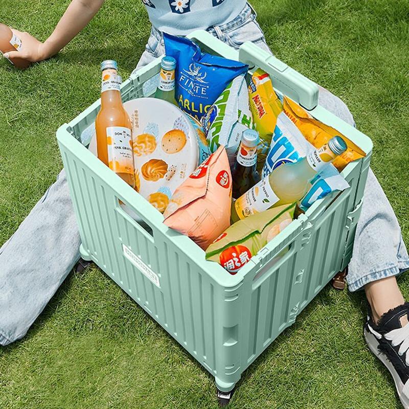 Shuangyou Portable Folding Shopping Cart