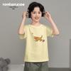 Летняя футболка с коротким рукавом Trendiano для мальчика 2026