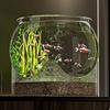 Resistant Falling Desktop Aquarium Clear Ornamental Fish Decor 2025 Fish Tank