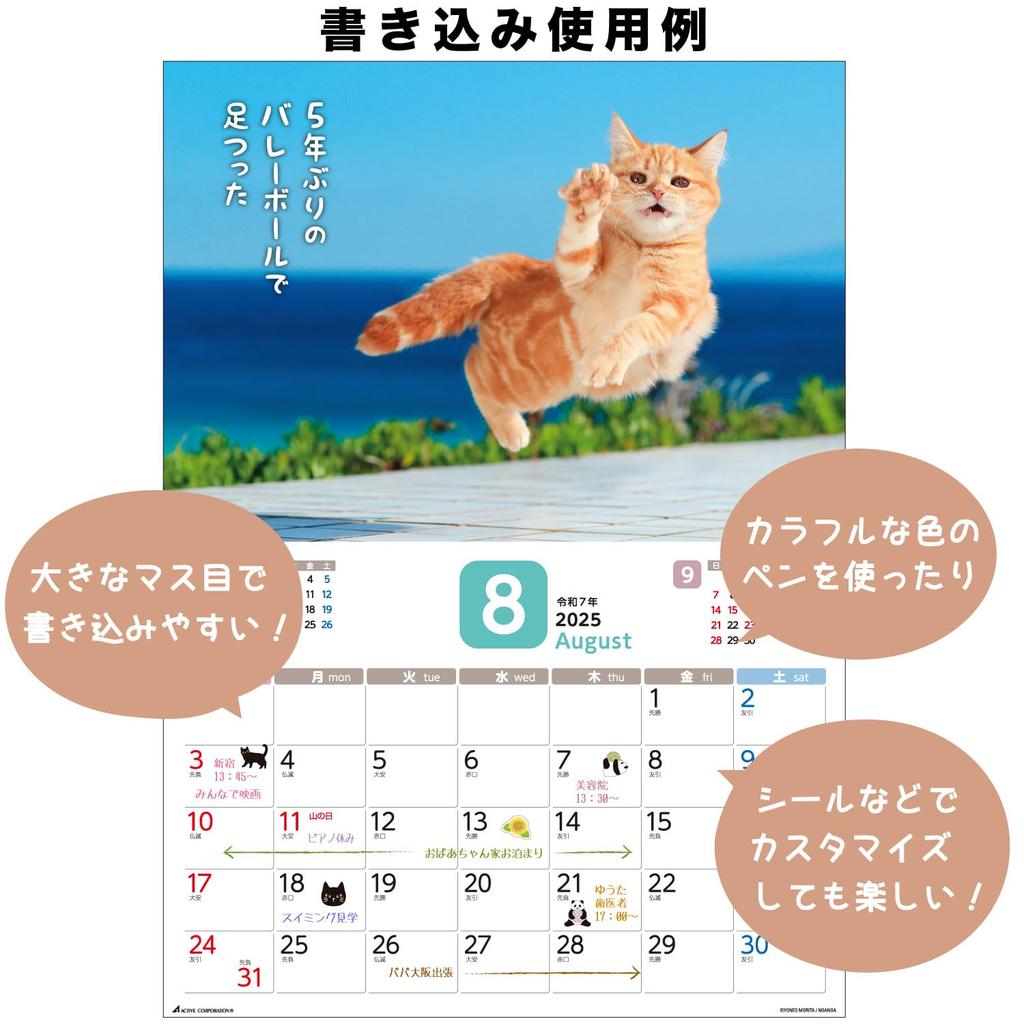 Календарь Active Corporation 2025 Настенный, потому что это кот. 25ACL-66 Начиная с января 2025 г.