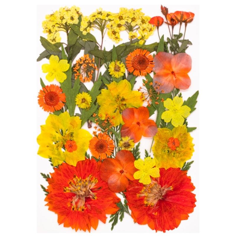 Натуральные сушеные цветы для эпоксидных форм Набор сухих цветов и листьев для искусства, ремесла, изготовления свечей, ювелирных изделий, скрапбукинга