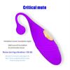 Wireless Remote Control Vibrating Bullet Eggs Vibrator Sex Toy for Clitoris Stimulator Vaginal Balls