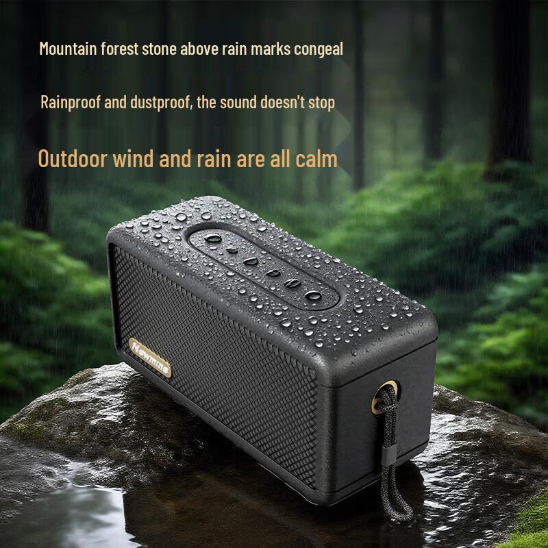 Bluetooth-колонка Newmine BT20, китайская вилка (адаптер в комплекте) (Китайская версия)