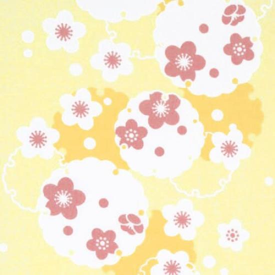 Dyeing Anbo Hand Towel Authentic Dyed Cotton Tokuoka Made in Japan 35cm x 100cm "Umeyukiwa Yellow" 100%