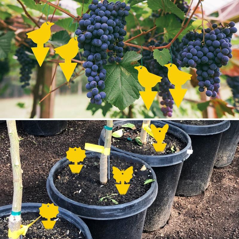 10-100 шт., липкая доска для насекомых, мощная двухсторонняя наклейка-мухоловка, липкая ловушка для мух и вредителей, насекомые-вредители, уличная наклейка для ловли насекомых