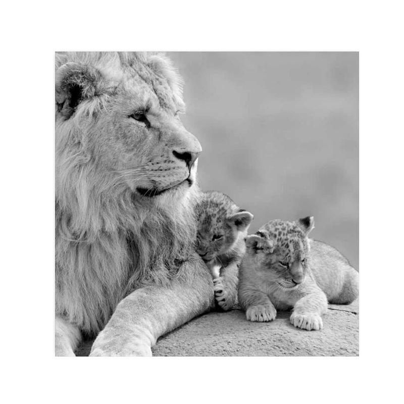 Дикий лев холст картины постеры и принты современное настенное искусство картина для гостиной украшение дома Cuadros