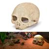 Human Skull  Model Fishtank Aquarium Landscaping Accessories For Scorpion Spider Lizard Snake