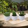 Beautiful Artificial Plants Set Artificial Succulent Imitation Potted Plants Decorative Flower Pot Desktop Decoration
