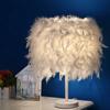 Best-selling Versatile Feather Bedroom Bedside Table Lamp Fashion Simple Design Living Room Sofa E27 Table Lights