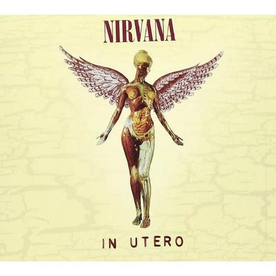CD / Nirvana In Utero Делюкс-издание (ШМ-CD)