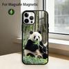 Cute F-Fubao Animal P-Panda Phone Case For iPhone17,16,15,14,13,12,11 Plus,Pro Magnetic with Magsafe Wireless Charging