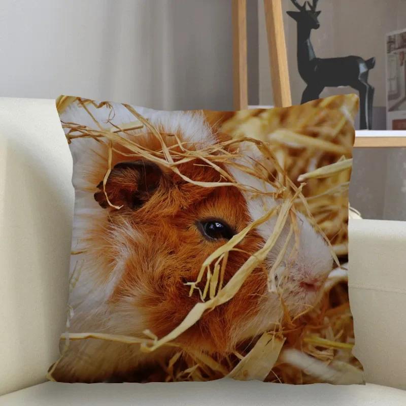 Симпатичная наволочка для хомяка с квадратным чехлом и застежкой-молнией