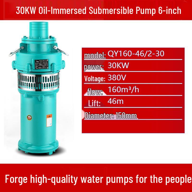 Qy High-Head Three-Phase Submersible Pump, 380V, 22kW/30kW, Ideal for Farmland Irrigation