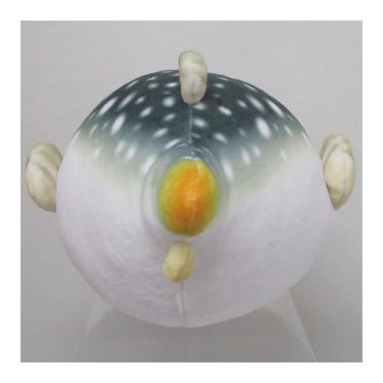 Sanei Boeki S!Серия Mochimochi LSTYLE Пуховик Mochimochi (S) Ш12 x Г17 x В10см Мягкая игрушка