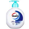 Walch Healthy Care Antibacterial Hand Wash