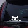 Автомобильная наклейка Мотоцикл Удивленный Кот Заглядывающий Стикер Забавные Виниловые Наклейки Водонепроницаемые Окно Милый Декор Авто Аксессуары 12x5см
