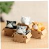 4pcs Cartoon Poor Box Cat Ornament Model Small Statue Car Crafts Fairy Garden Figure Ornament DIY Miniature