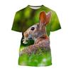 Summer Casual Trends Animal Crew Neck Clothing Fashion Cute Rabbit 3D Printed T-shirt for Men and Women Short Sleeve Big Top T-s