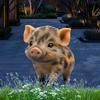 Знак для двора со свиньей, 2D-мультяшная свинья, акриловая садовая вставка, украшение для уличного искусства с животными для горшков, патио, газона, декора