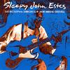 CD SLEEPY JOHN ESTES - Electric Sleep DD619 Delmark Records 1991 US Blues Used