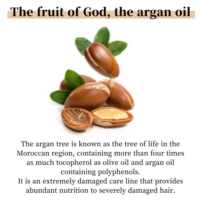 Argan Essential Moist Hair Mist 220ml