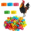 100Pcs Chicken Marker Tag Adjustable Chicken Foot Ring Plastic Poultry Leg Snap Ratchet Clip
