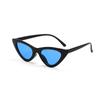 Sexy Women Vintage Cat Eye Sunglasses Fashion Small Frame UV400 Sun Shades Glasses Street Eyewear Cycling Driving Goggles