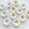 10Pcs Pure White Flower Resin Flat Back Diy Wedding Decoration Flower Shaped Scrapbook Jewelry Making Accessories