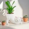Милый хвост кошки Хвост кошки Горшок для суккулентов Керамический цветочный горшок в виде кошки Ваза Аксессуары для декора