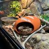 Cooling Bread Shaped Reptile Hideout Anti-slip Fish Spawning Cave Pet Habitat Cave  Reptile Cage