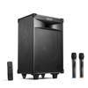 Edifier PW312 12-дюймовая портативная уличная Bluetooth-колонка, штекер CN (адаптер в комплекте)