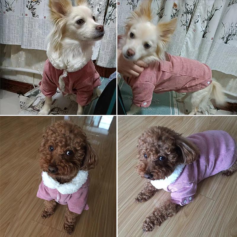 Зимняя одежда для собак Толстая куртка для домашних животных для маленьких средних собак Мягкое флисовое пальто для щенков и кошек Одежда Вельветовый жилет для чихуахуа йоркширского мопса Одежда