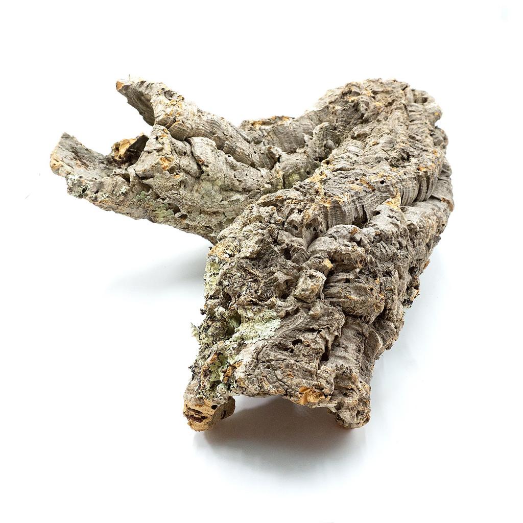 BioCork Tube X-LARGE Cork tubes - very large diameters 21-30cm 10kg