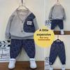 Boys' Spring & Autumn Two-Piece Set: Long-Sleeved Sweatshirt & Casual Pants - Stylish Sportswear for Kids