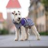 Одежда для питомцев в тренде на Amazon, теплая осенью и зимой, ветрозащитная и утепленная одежда для собак, для средних и маленьких собак, тедди, померанский шпиц