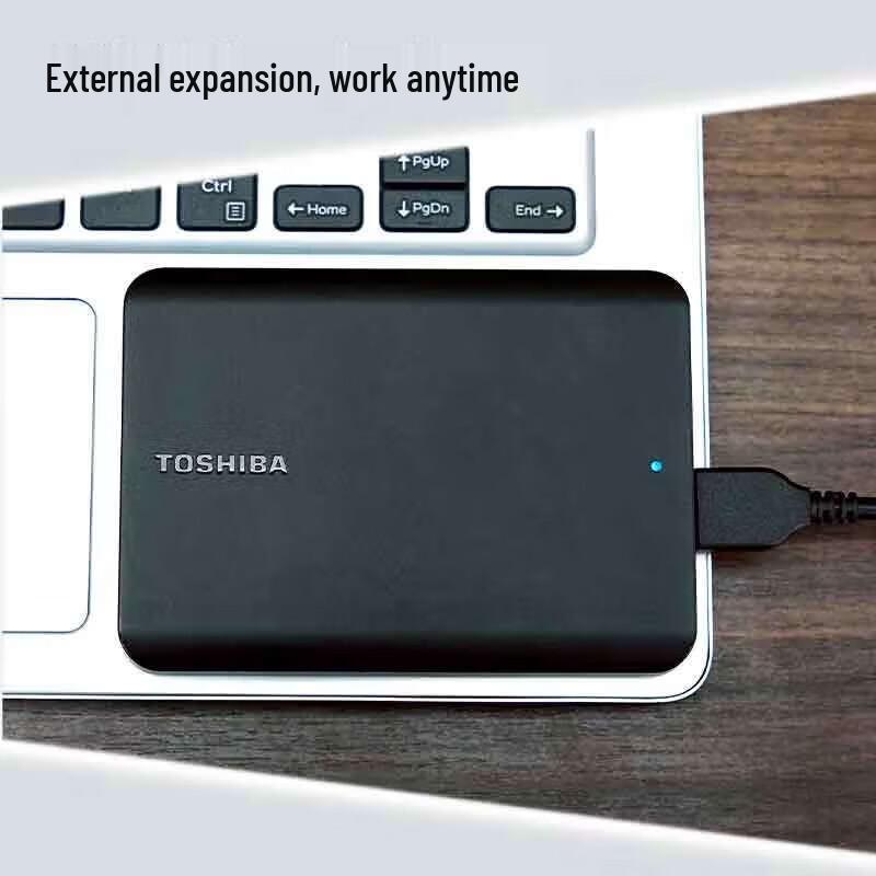 Toshiba Canvio Basics Portable External Hard Drive